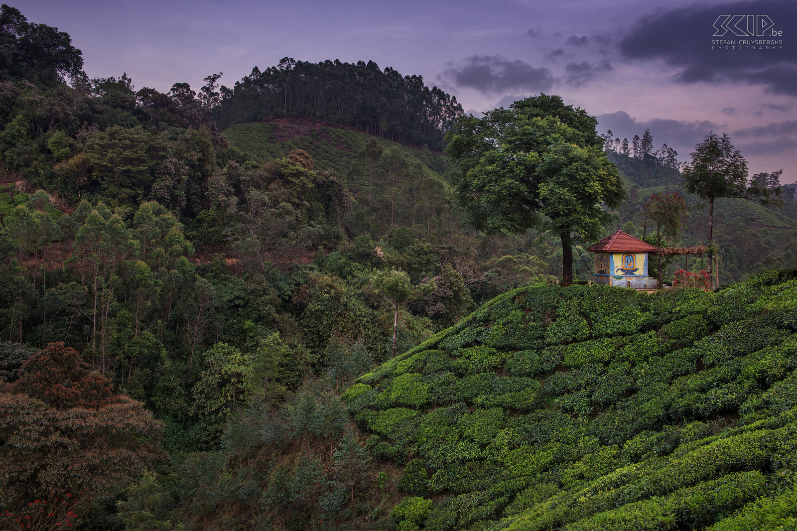 Munnar - Temple Small temple in the tea fields of Munnar after sunset. Stefan Cruysberghs